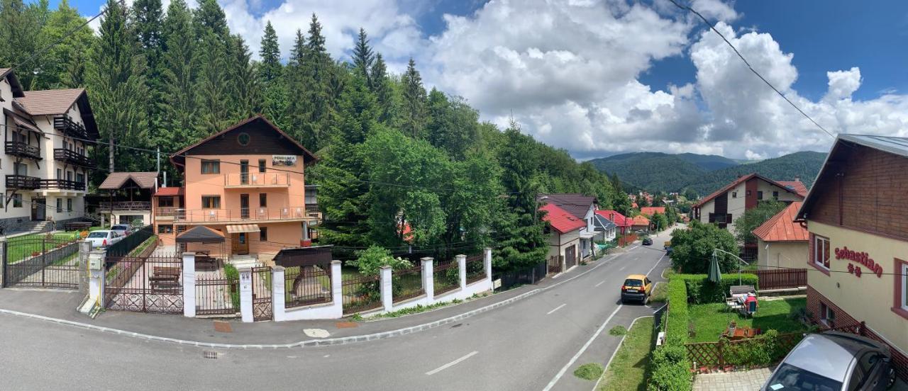 Pensiunea Luminita Buşteni Exterior foto